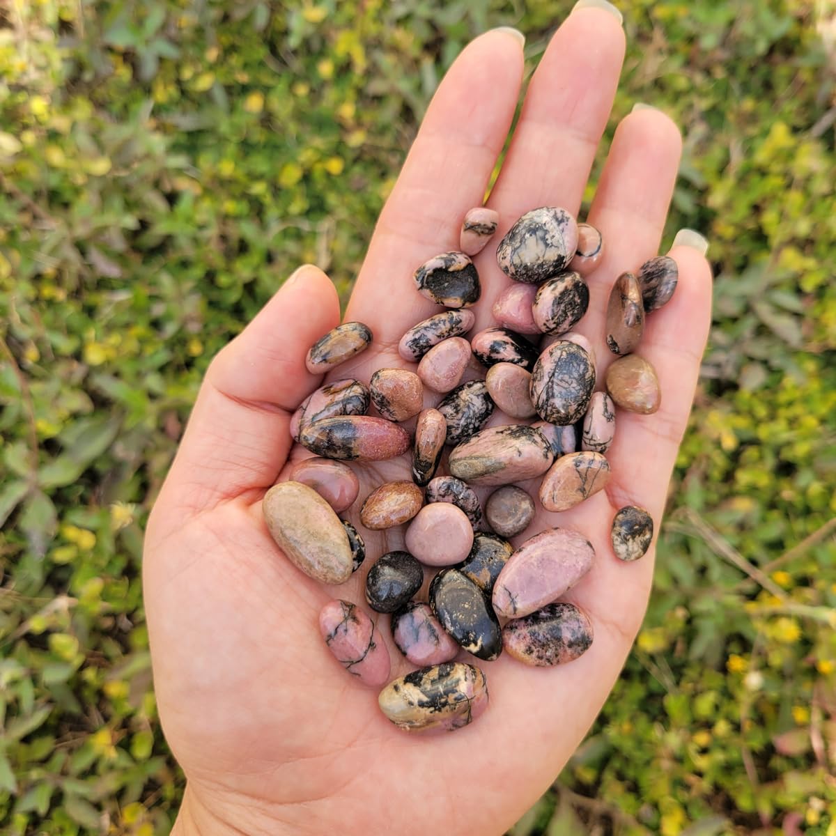 1,000 Carats Rhodonite Handpicked Tumbled Stones Crushed Crystals 0.2''-0.5'' Bulk Pocket Stones for Healing, Reiki, Meditation, Witchcraft and Home Decorations (Rhodonite)