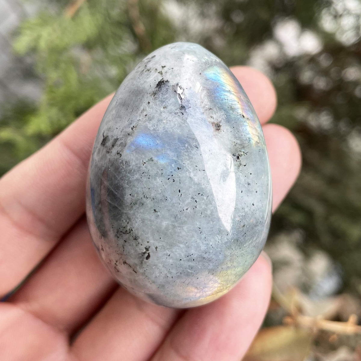favoramulet Polished Stone Egg for Easter Day, Palm/Pocket/Worry Enegry Healing Crystal Display Sphere Figurine Fengshui, Moonstone 1.8" x 1.3"