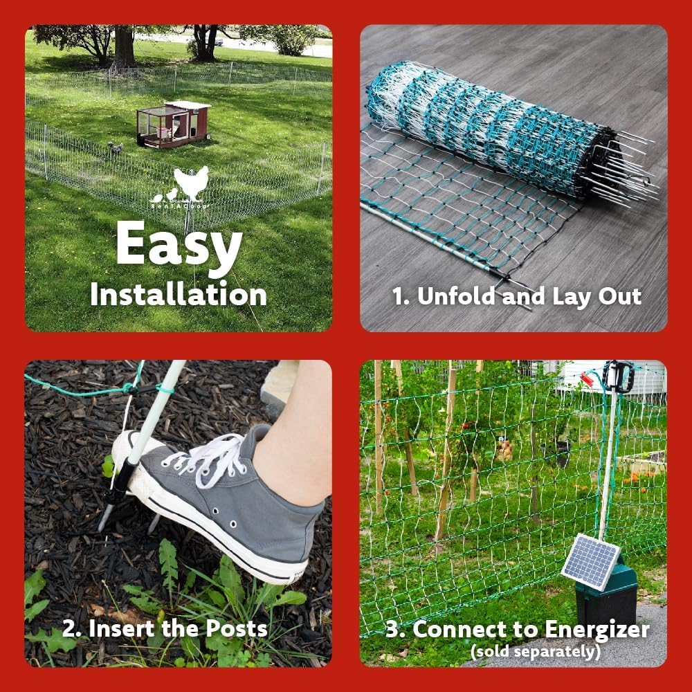 RentACoop Poultry Netting Electric Fence - Electric Poultry Enclosure for Chickens, Ducks, Turkeys - Suitable for 4 Week Old Chickens/Older and Adult Poultry - Energizer Not Included - 168' L x 42" H