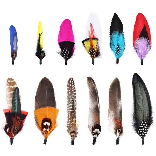 iHUFeather 12Pcs Hat Feathers Assorted Feathers for Hats Colorful Real Feathers for DIY Craft, Christmas Decorations Men Women (12 Style)