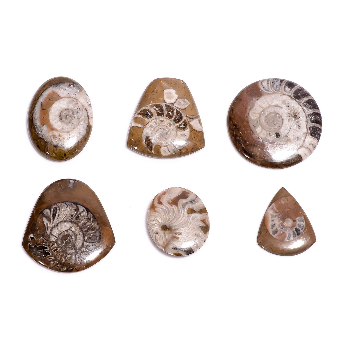 GEMKORA™ 3pcs Natural Ammonite Brown Gemstone Cabochon for Jewelry Making, Loose Gemstone Wholesale Lot, DIY, Wire Wrapping, Healing Crystals, Bulk Crystals Deal