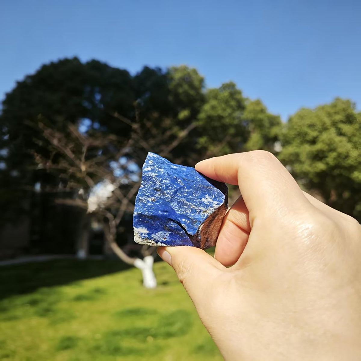 0.45lb Natural Lapis Lazuli Bulk Raw Crystals 1.2-2″Large Healing Stones for Tumbling, Wire Wrapping, Reiki, Meditation, Wicca, Chakra Balancing