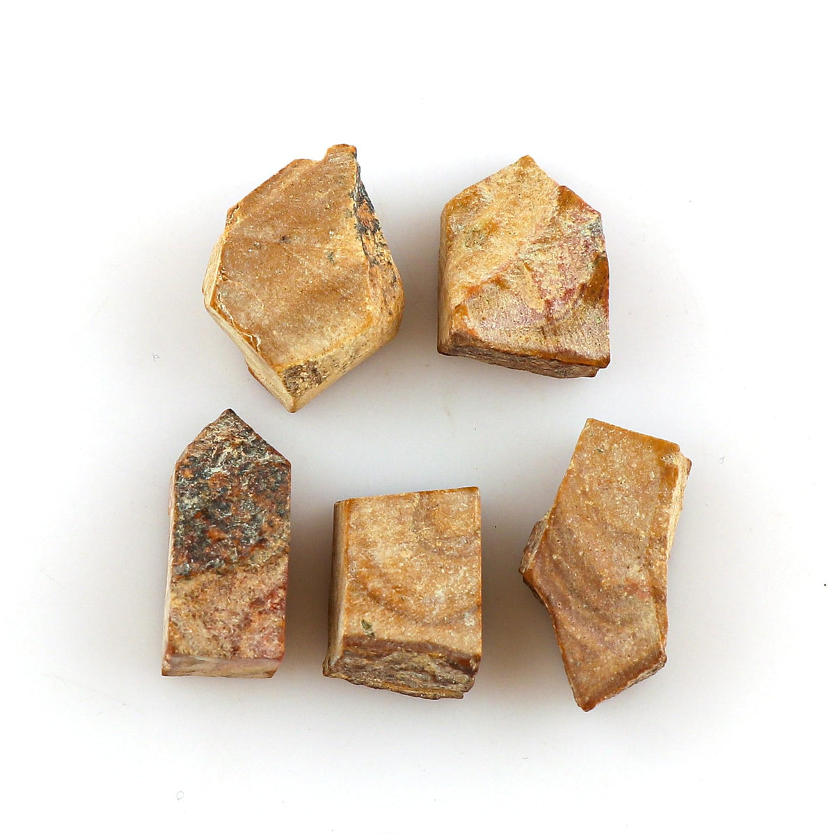 CRYSTALINES 5pcs AAA Grade Wholesale Natural Raw Petrified Wood Jasper Gemstones, Untreated Rough Stone, Bulk Loose Supplies, DIY Jewelry Making, Healing Crystals, Birthstone, Gem Collection