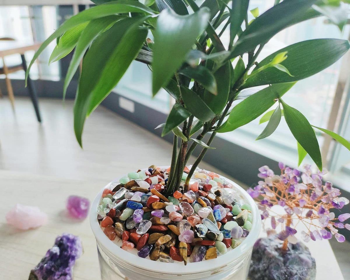 ZHIYUXI Chakra Crystal Vase Filler Crystal Chips Stone for Decoration Succulent Plants Vase Fish Tank Gravel Crushed Crystals Chips Gemstone Polished Healing Crystals Quartz Home Decor Gem Stones