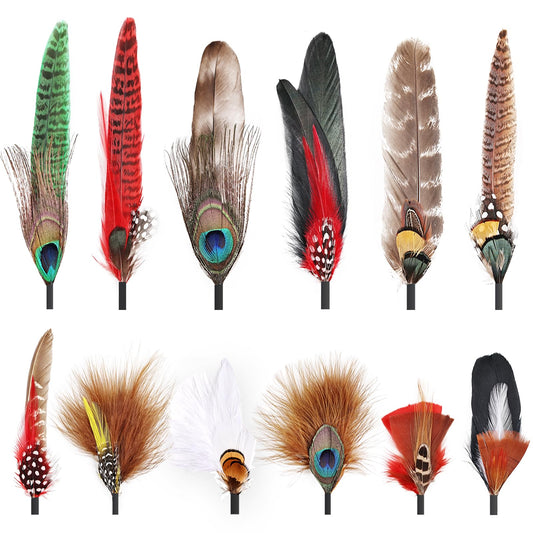 FeelfunFeather 12PCS Hat Feathers, Assorted Natural Colorful Feathers for DIY Western Cowboy Hats,Christmas Party Hats,Fedora, Oktoberfest,Trilby Hats