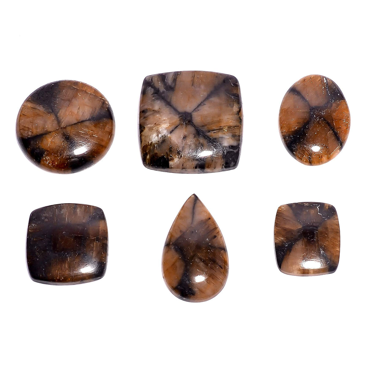 Gemkora 3pcs Natural Chiastolite Gemstone Wholesale Cabochons Lot, Jewelry Making Loose Gemstone, Polished Home Decor Specimen, DIY, Wire Wrapping, Reiki, Healing Crystals, Bulk Gemstone Deal