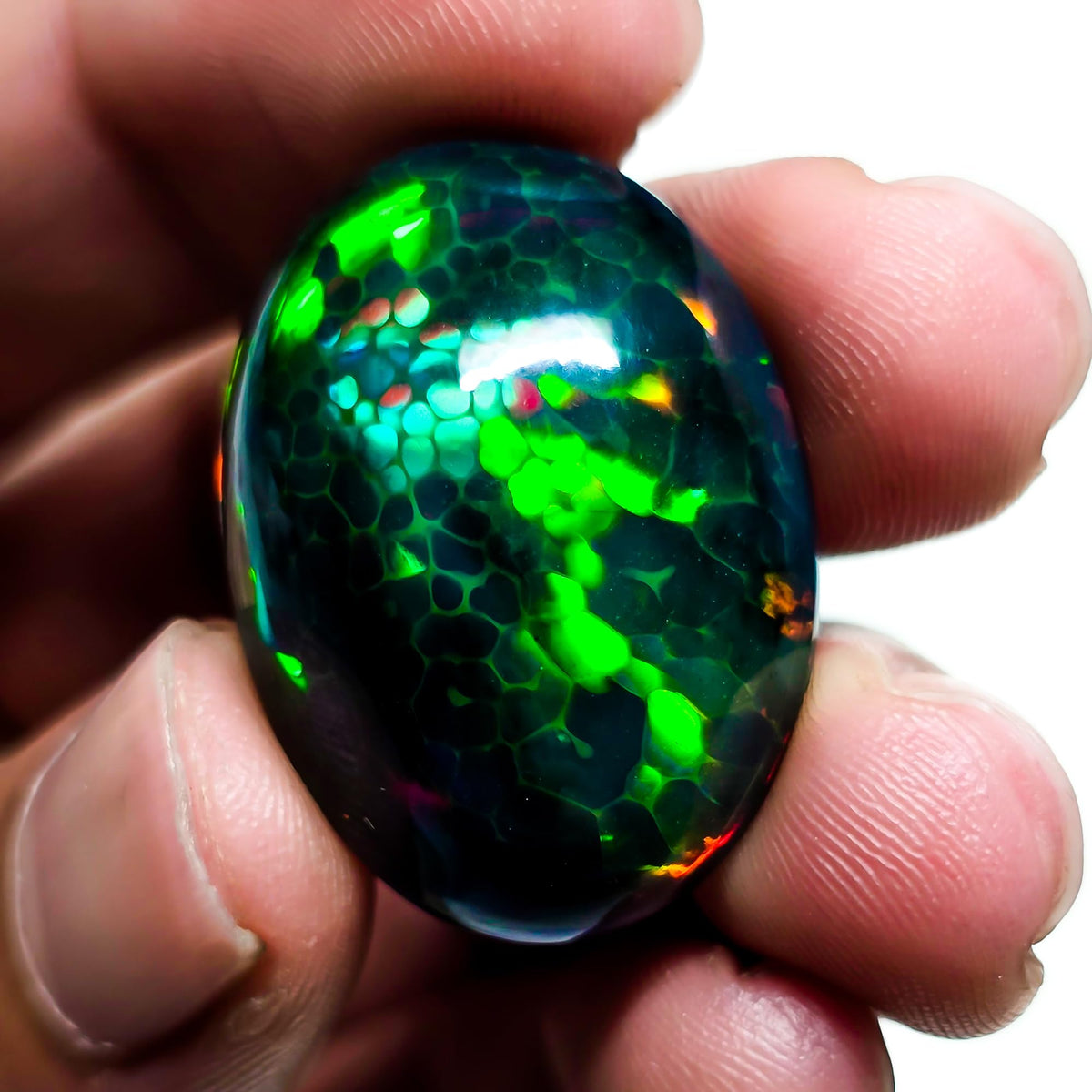 24 Carat Honeycomb Black Ethiopian Opal Cabochon Gemstone