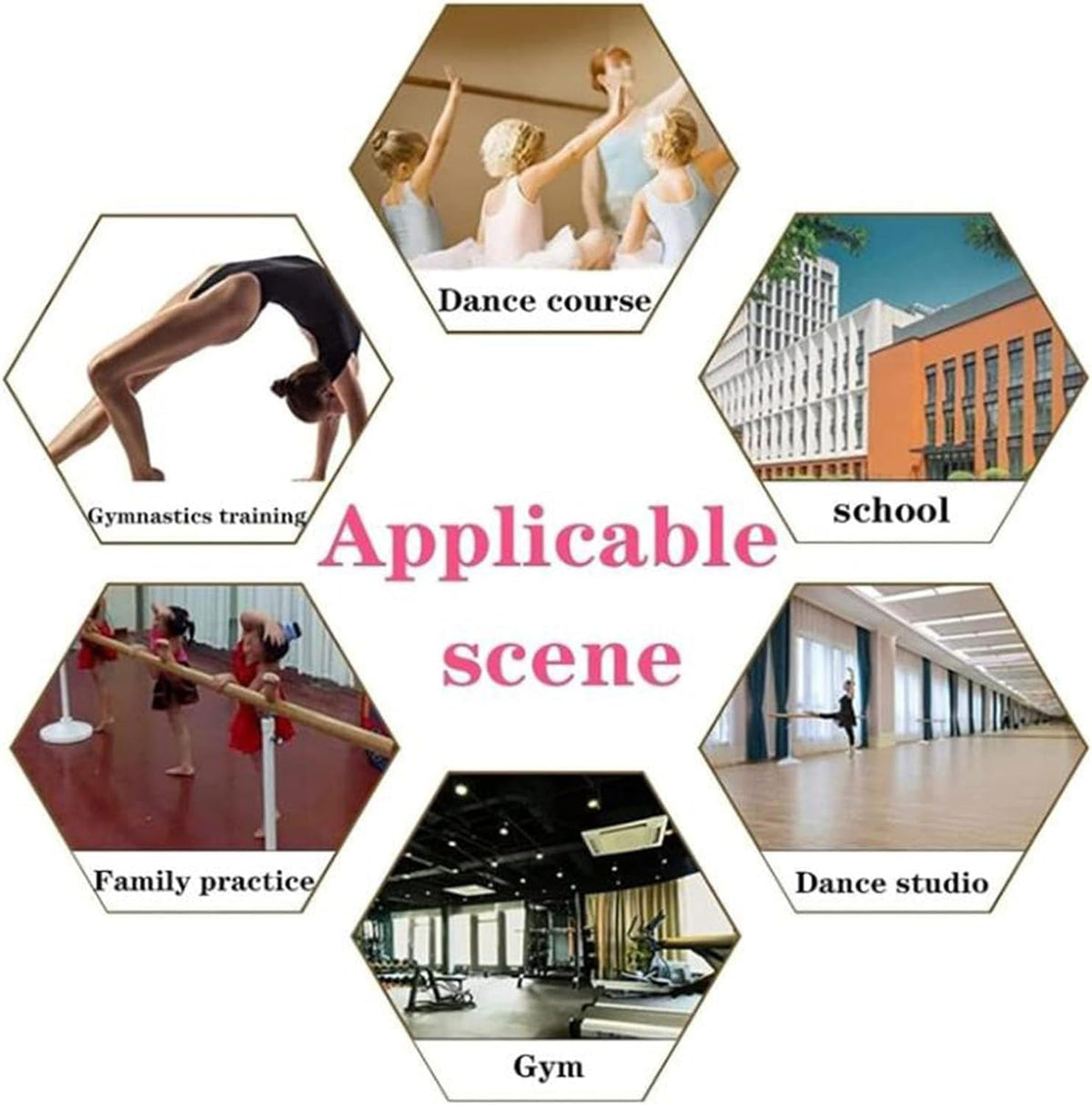 ERoomQ Ballet Pole Independent Dance Stick Portable Pole Fitness Training Mobile Stretching Dance Bar Fitness Equipment