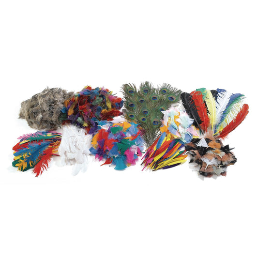 Colorations Super Craft Feathers Classroom Pack – Includes a Variety of Colored Feathers for Arts & Crafts – Classroom Supplies for School and Learning at Home