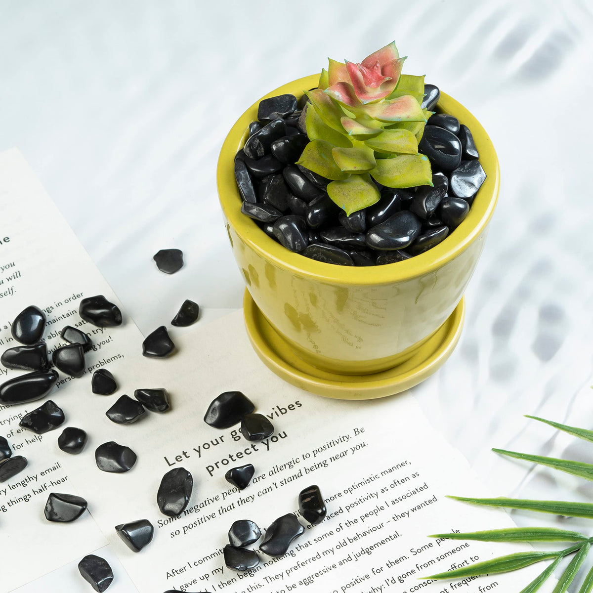Crocon Polished Black Tourmaline Chips Bulk Natural Stone Raw Gemstone Tumbling Cabbing Polishing Gem Mining Chakra Balancing Reiki and Crystal Healing Good Luck Home Office Décor (1/2 LB)