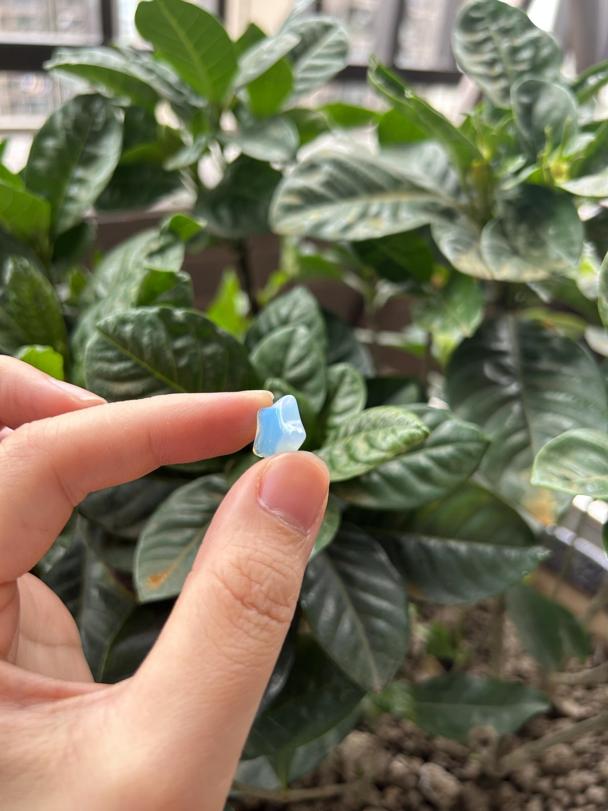 Sunshcat Synthetic Opalite10Pcs Star Shaped Thumb Crystals and Healing Stone,0.6" Haped DIY Jewelry ﻿