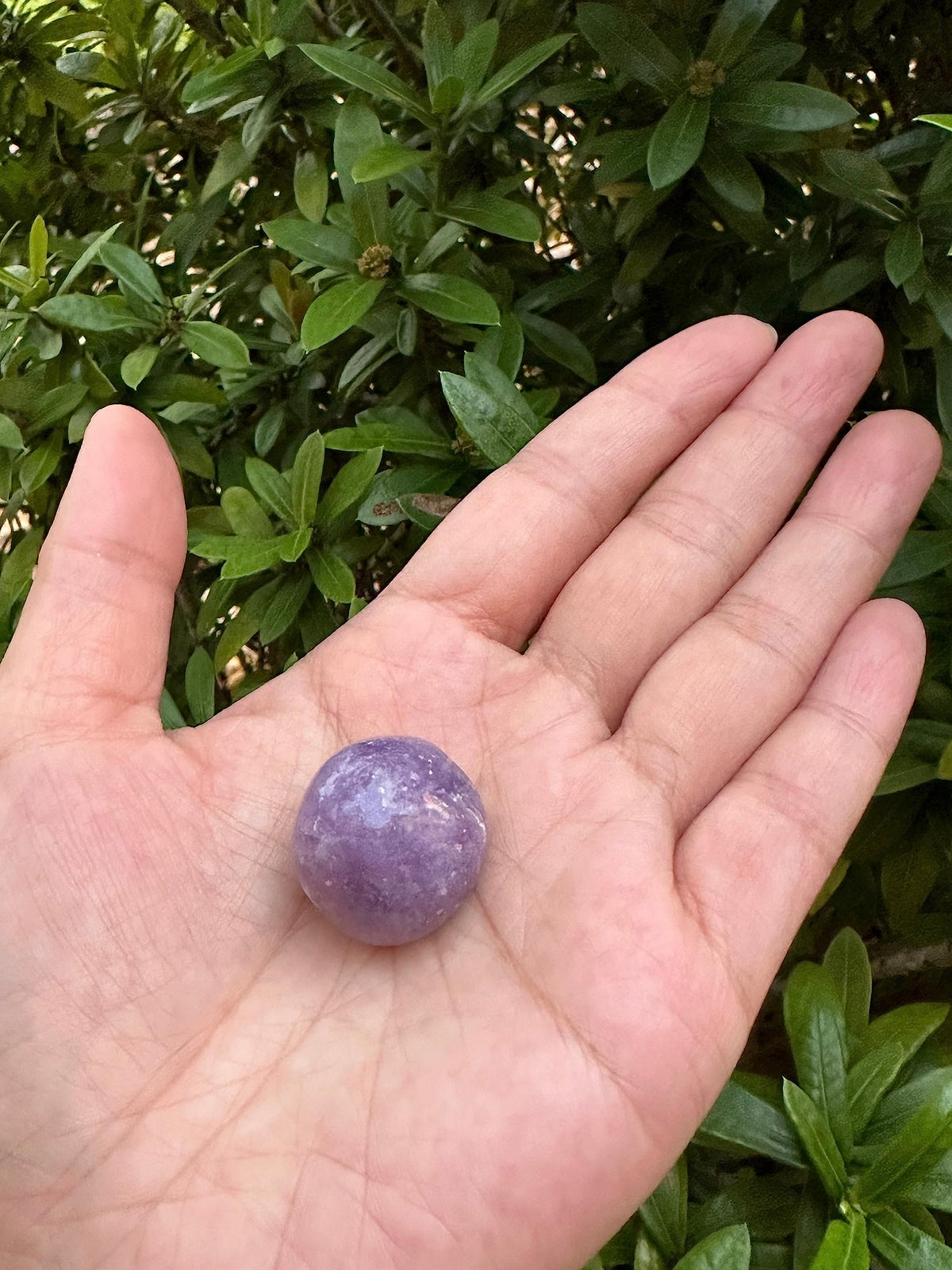 GAF TREASURES 5 Pcs Lepidolite Tumbled Stones, Polished Lepidolite Gemstone, Lepidolite Healing Crystals (Lepidolite)