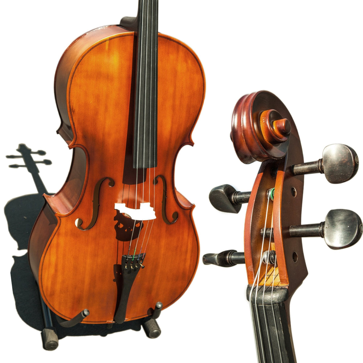 Paititi PTTCE101T Ebony Fitted Oil Finish Wood 4/4 Cello with Soft Case, Bow, Rosin, Stopper and Mute