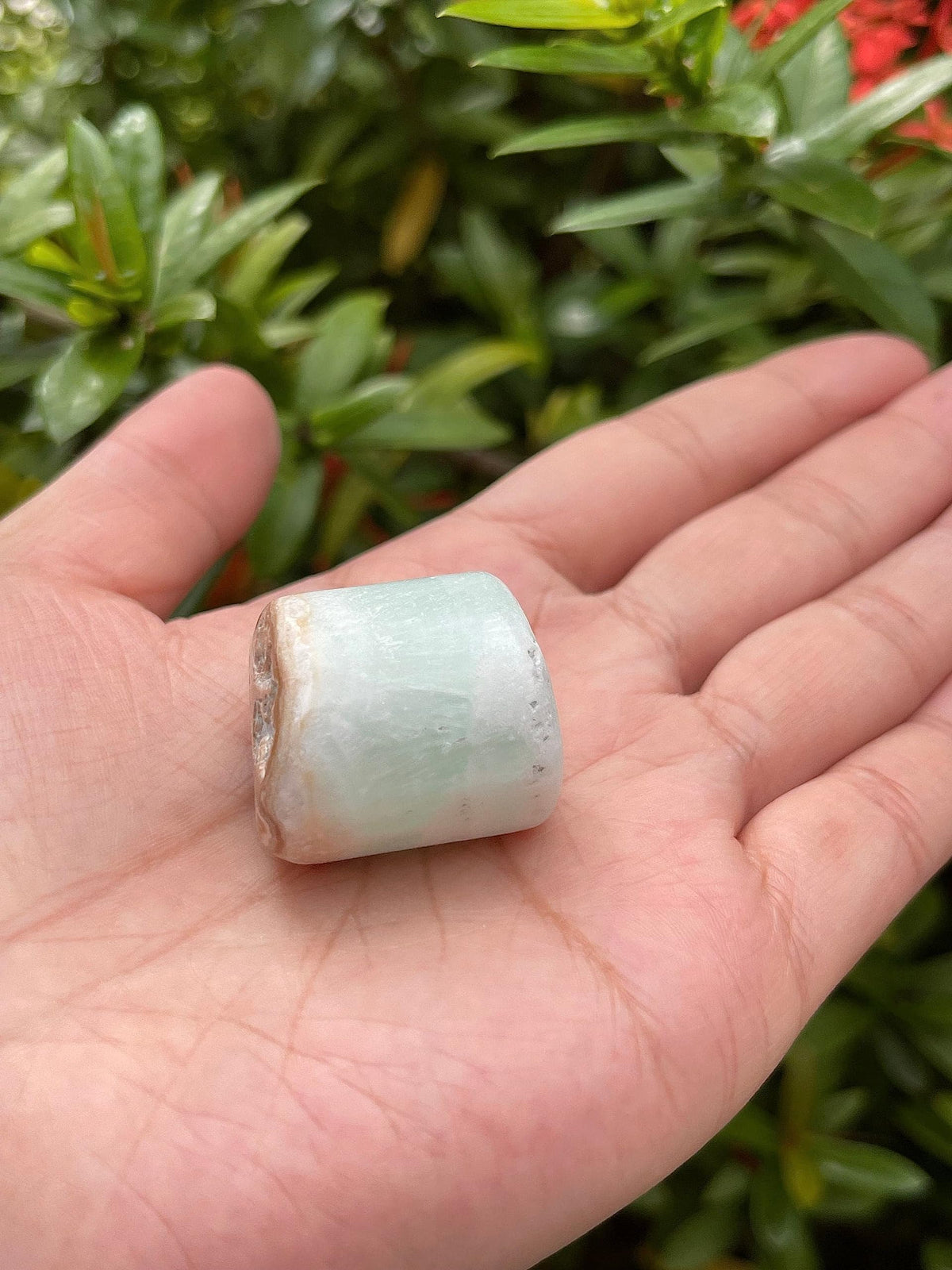 GAF TREASURES 5 Pcs Caribbean Calcite Tumbled Stones, Polished Natural Caribbean Calcite Gemstone, Caribbean Calcite Healing Crystals (Caribbean Calcite)