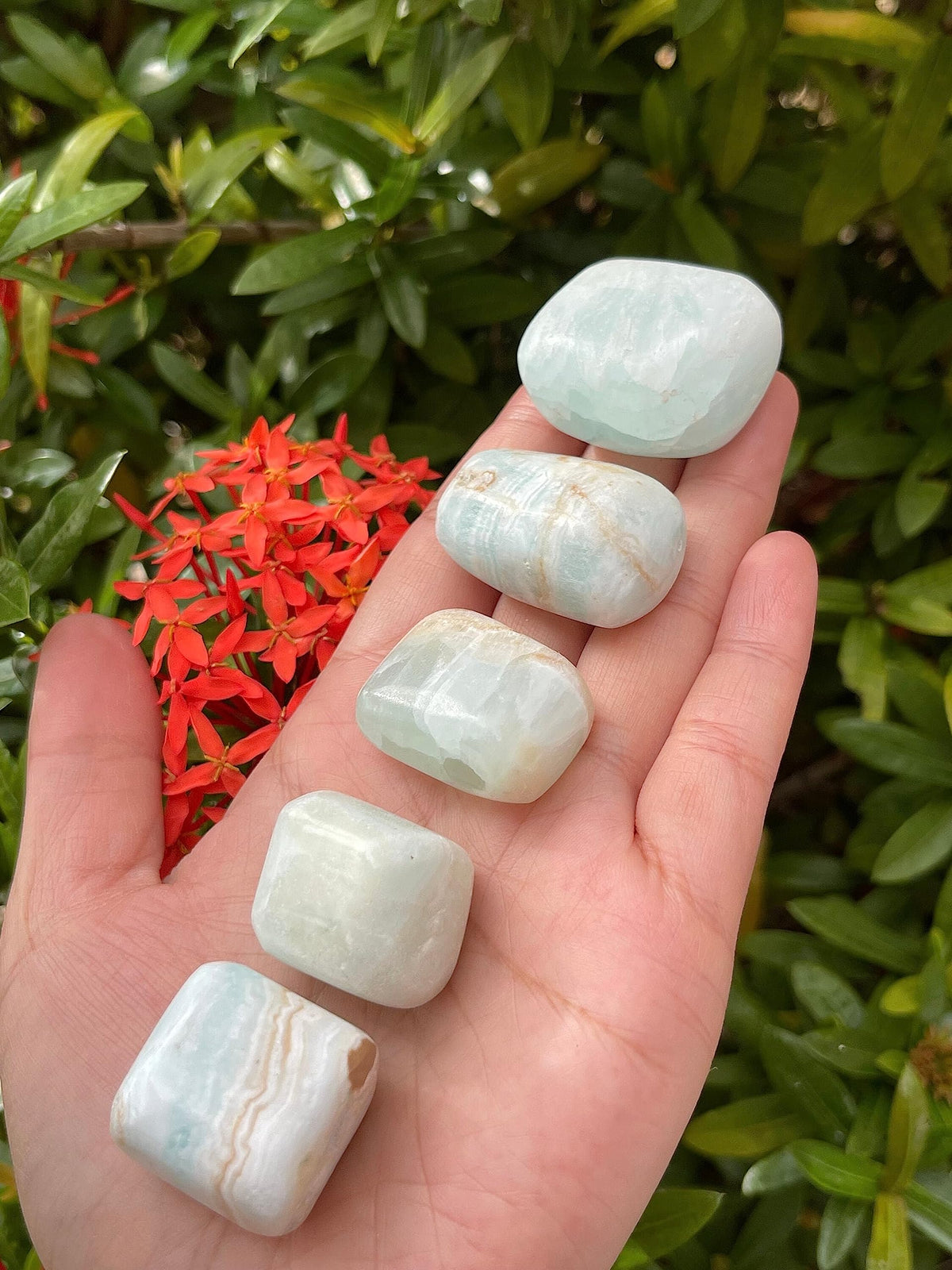 GAF TREASURES 5 Pcs Caribbean Calcite Tumbled Stones, Polished Natural Caribbean Calcite Gemstone, Caribbean Calcite Healing Crystals (Caribbean Calcite)