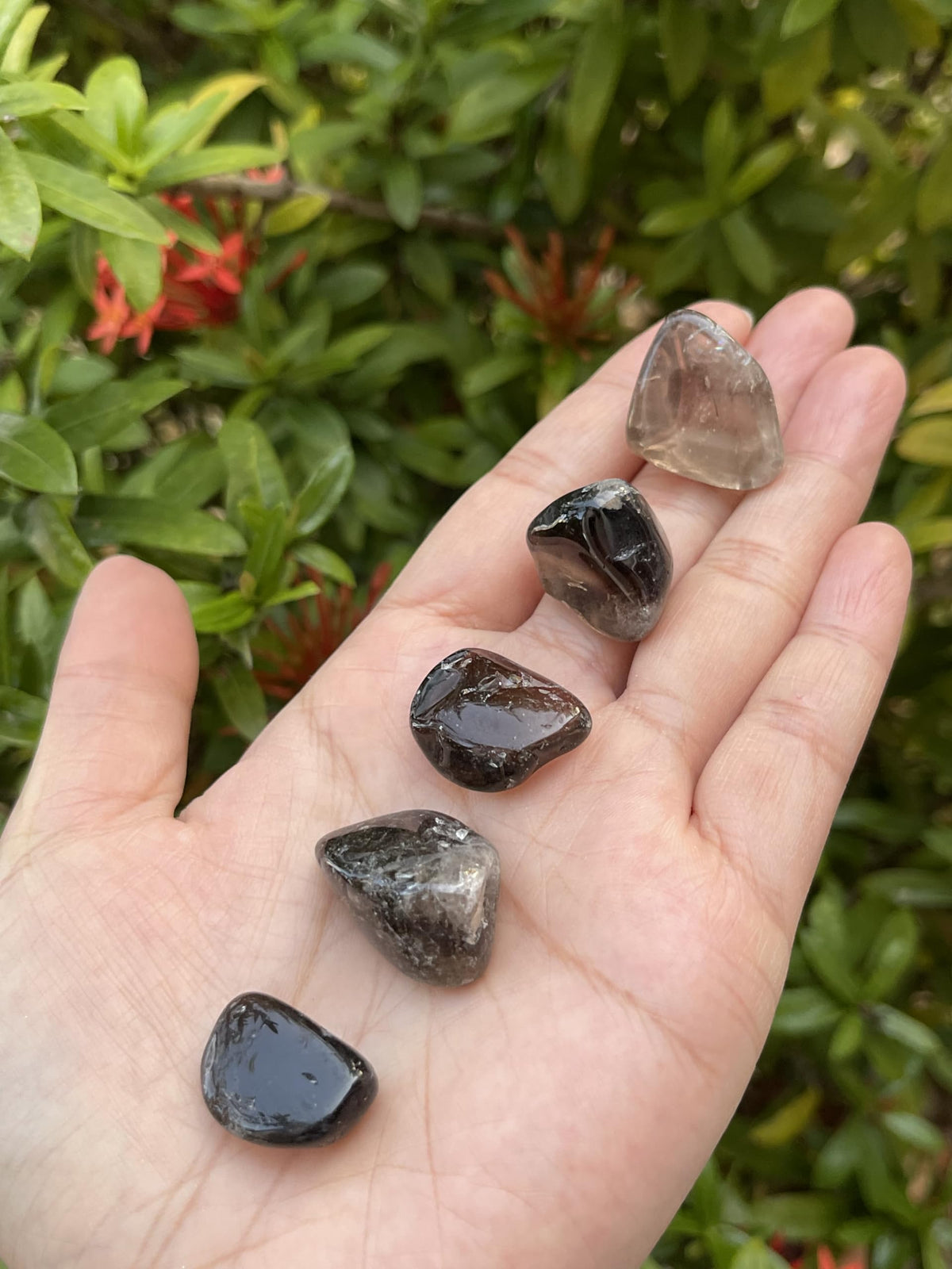 GAF TREASURES 5 Pcs Smoky Quartz Tumbled Stones, Polished Smoky Quartz Gemstone, Smoky Quartz Healing Crystals (Smoky Quartz)
