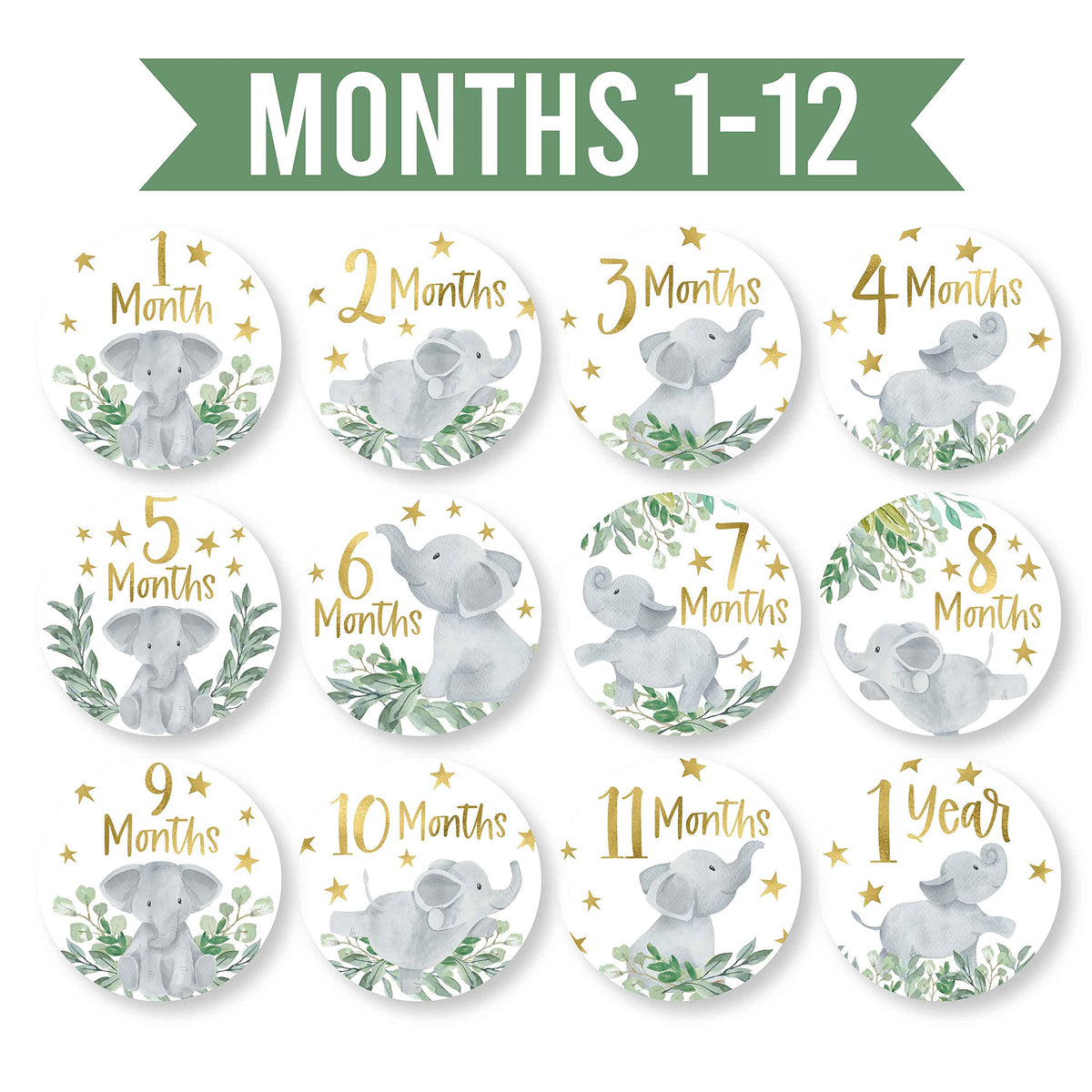 Hadley Designs 20 Monthly Baby Milestone Stickers-Elephant Baby Monthly Milestone Stickers, Newborn, Photo Props