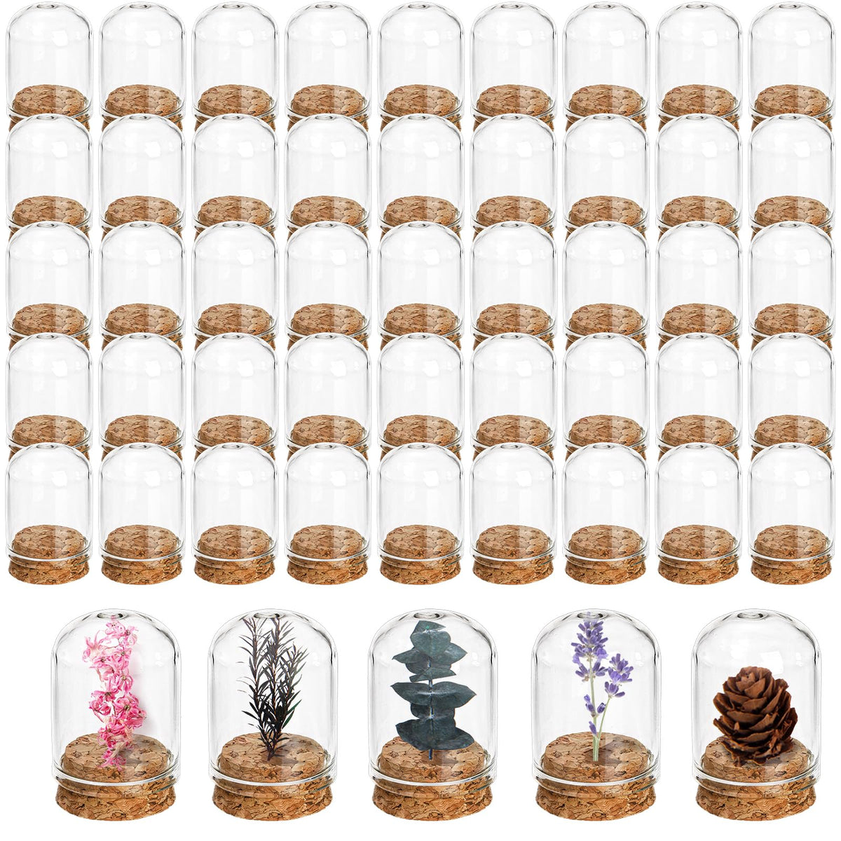 Mezchi 50 Pack Cloche Bell Jar, Mini Glass Jars with Cork Lids, 8ml Glass Dome Cloche with Base, Decorative Display Dome for Specimen, Flower Storage, Arts Dispaly, Party Favor