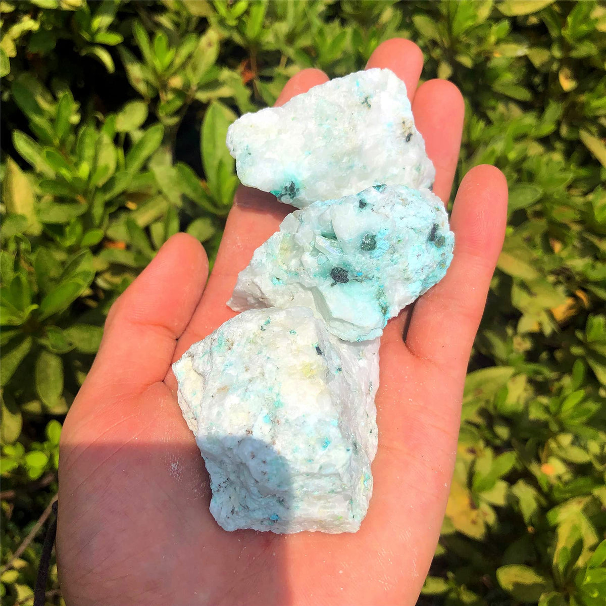 Zenkeeper 1Lb Large Rough Chrysocolla Crystal Bulk Raw Phoenix Stone Natural Crystal Chunks Crystals Healing Stones