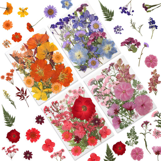 80 Pcs Dried Pressed Flowers for Crafts, Real Natural Dried Pressed Flowers in Vibrant Multicolor Tones for Resin, DIY Art, Jewelry, Candle & Soap Making – Tweezers Included