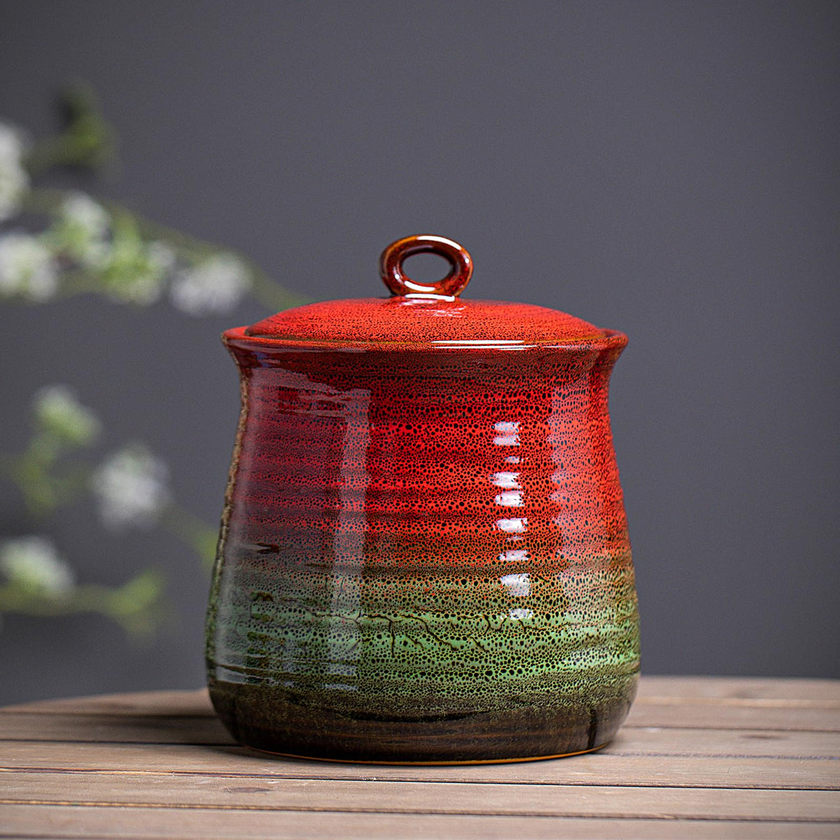 40 OZ Cookie Jar,Dog Treat Jar, Kitchen Canisters for Countertop for Food Storage Coffee, Tea,Flour, Beans, Spices, Nuts and More Ceramic Jar with Lid. (Red and Green)