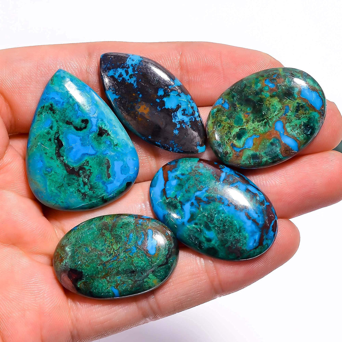 GEMKORA 3 to4 pcs Natural Parrot Wing Chrysocolla Gemstone Cabochon for Jewelry Making, Loose Stones Supply, Wholesale Cabochons Lot, DIY, Wire Wrapping, Healing Crystals, New Gemstones