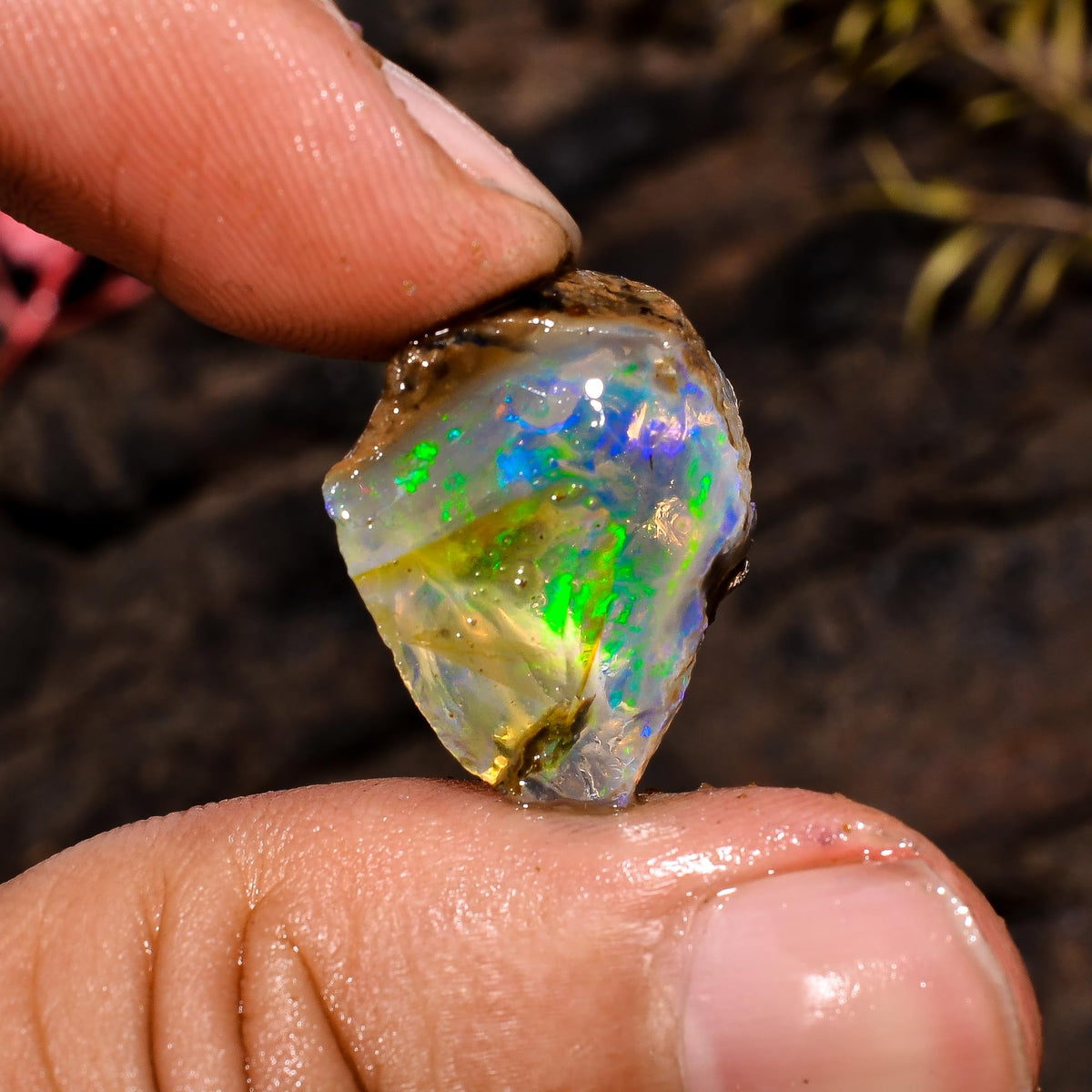 AAAA+ Natural Ethiopian Welo Opal Rough Stone – Ultra Fire Striking Raw Crystal | Handpicked Opal Rock for Jewelry Making | October Birthstone Gemstone (3.2 Carat)