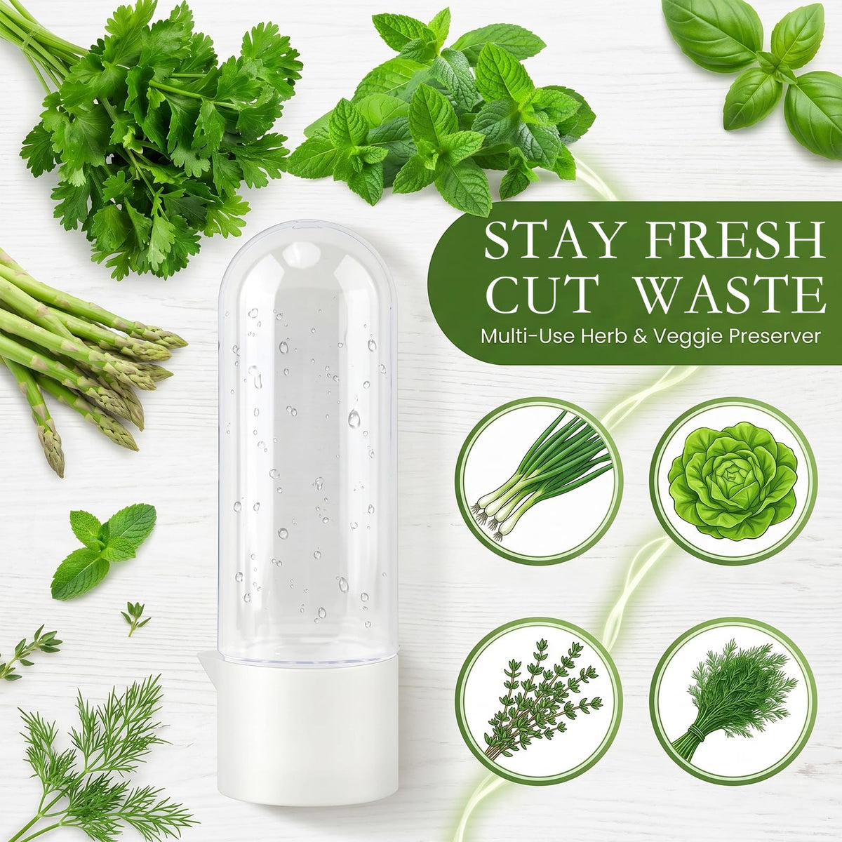 Anreelkou 2PCS Herb Saver, Herb Keeper for Refrigerator, Cilantro Container for Fridge, Hard Shell Fresh Herb Storage for Asparagus, Parsley, Mint, Rosemary, Keeps Greens Fresh for 2-3 Weeks