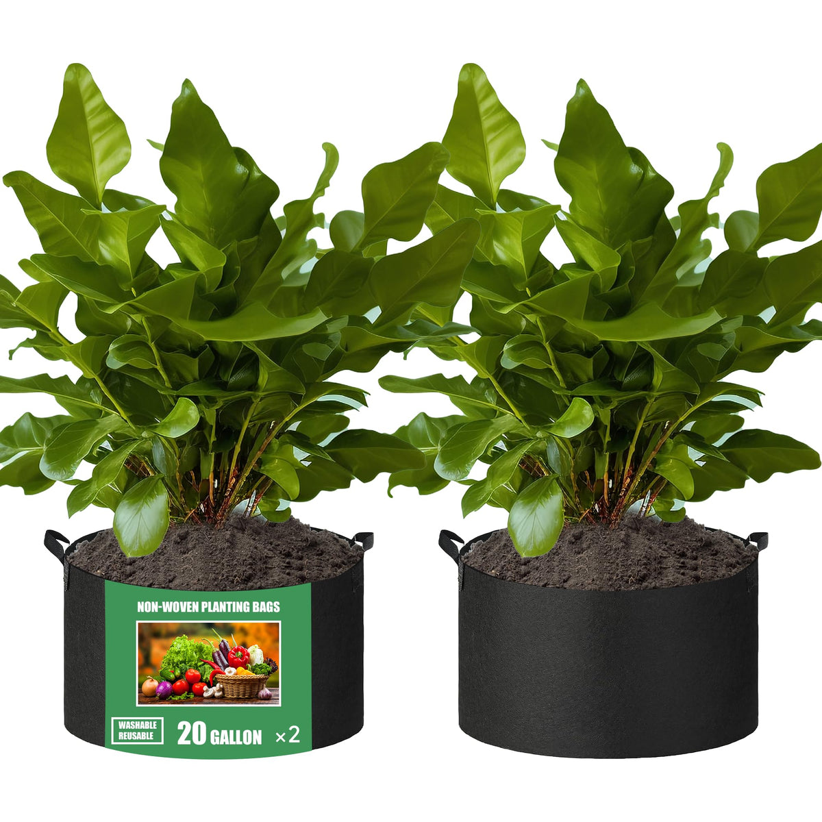 FVOTNW 2-Pack 20 Gallon Fabric Grow Bags with Handle, Heavy Duty 300G Thickened Nonwoven with Handles and Reusable, Suitable for Garden Vegetables,Fruits and Flowers(Black)