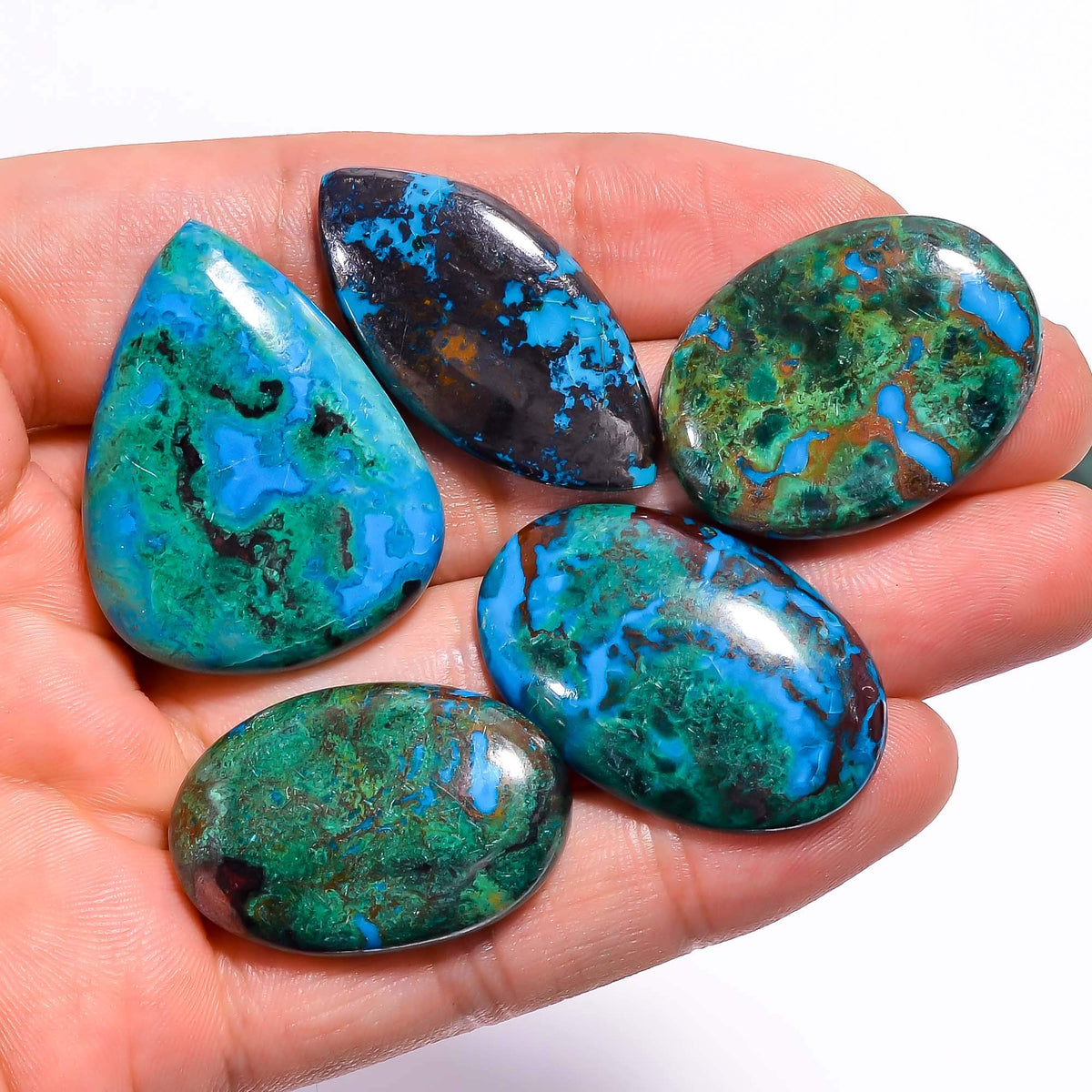 GEMKORA 3 to4 pcs Natural Parrot Wing Chrysocolla Gemstone Cabochon for Jewelry Making, Loose Stones Supply, Wholesale Cabochons Lot, DIY, Wire Wrapping, Healing Crystals, New Gemstones