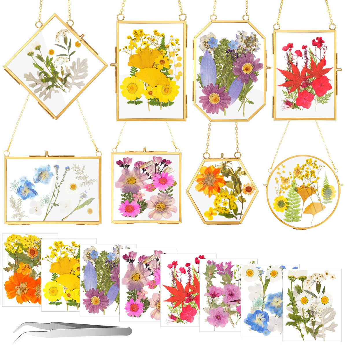 Barydat 8 Set Double Glass Pressed Flower Frames Gifts Wall Hanging Photo Picture Frame with Bag Dried Flowers Chains Gift for Artwork Frame Home Decor Plant Photo Display, 8 Shapes(Gold)