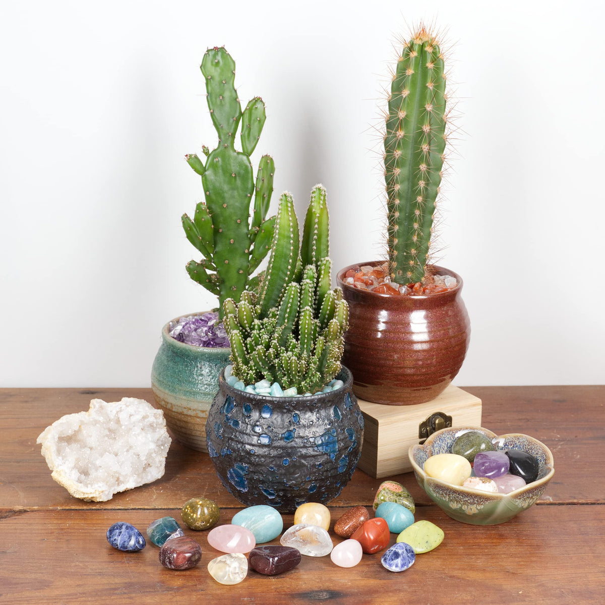Cherry Tree Collection 1/2 Pound Polished Stones - 1/2" - 1" Size Tumbled Stones - Tumbled Crystals Bulk for Healing, Reiki, Chakra (Green Aventurine)