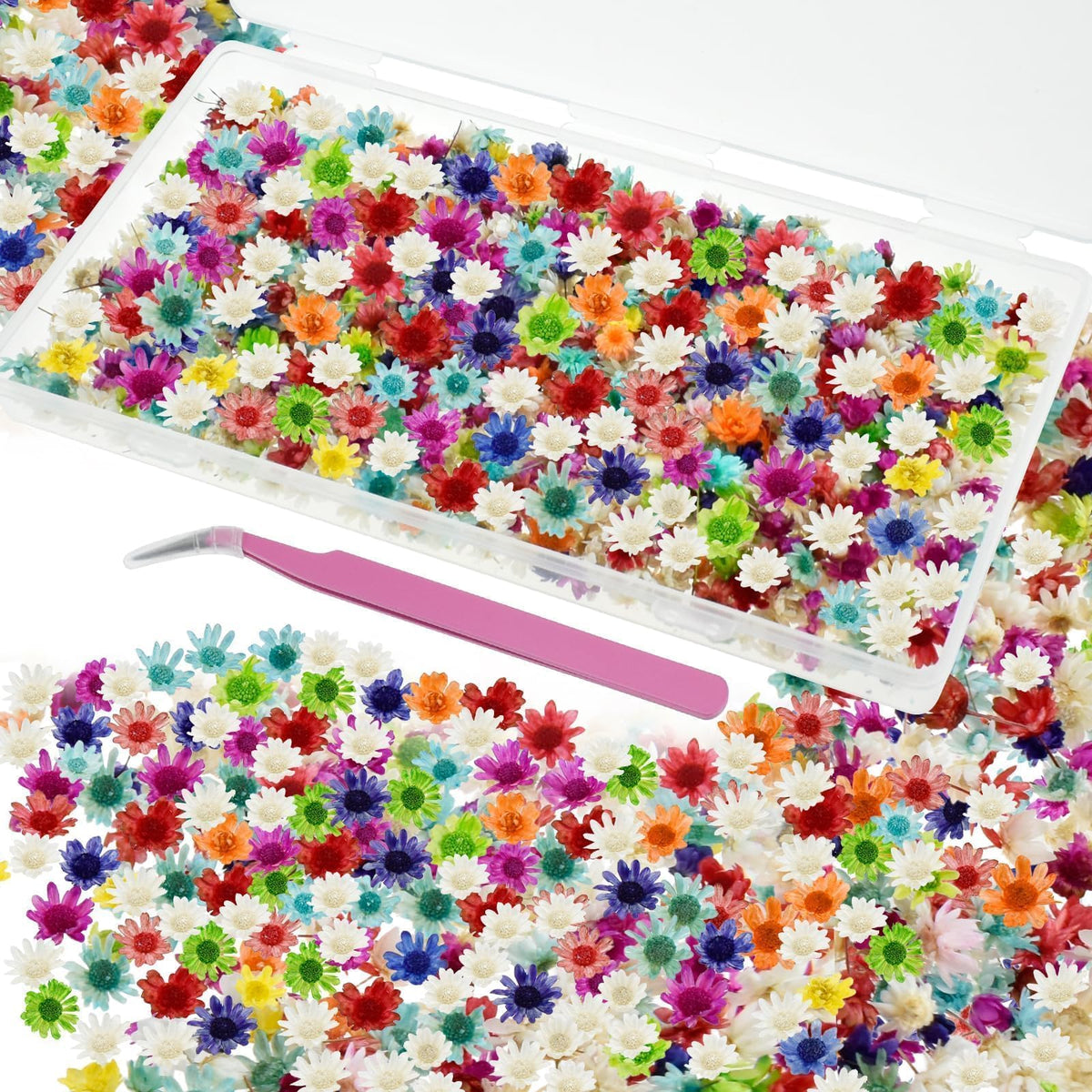 MARRTEUM 800 PCS Mini Dried Flowers for Resin - Include Tweezers, Small Tiny Natural Real Dried Pressed Flowers Art Bulk for Crafts Resin Nails, DIY Epoxy Earrings Jewelry Crafts, Soap Candles Making