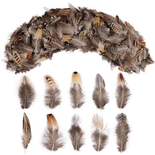 500pcs Natural Mixed Color Feathers for Crafting - Bulk Dream Catcher Supplies, Assorted Craft Feathers for Jewelry Making, DIY Home Decor, Party Wedding Decoration
