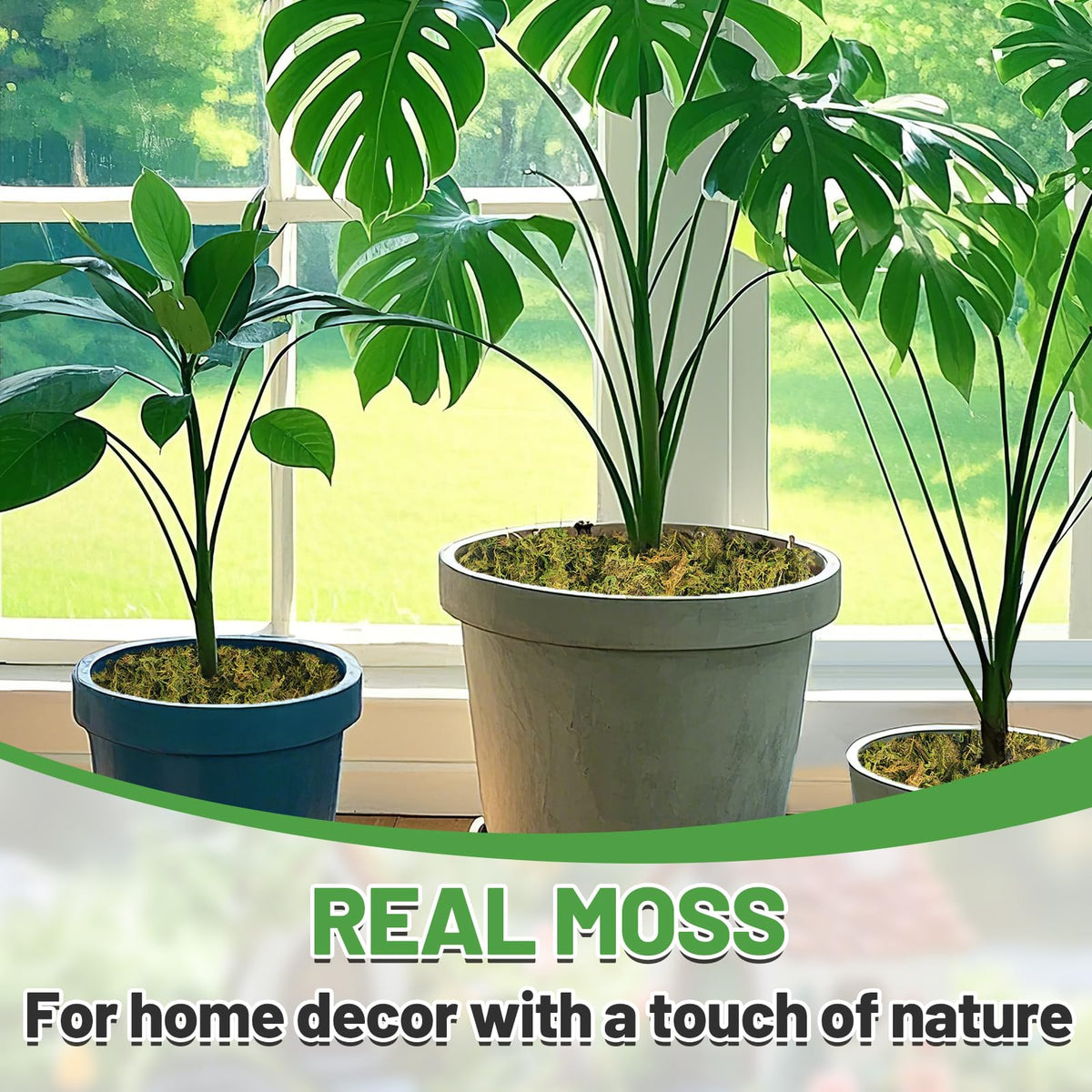 Alphatool 35oz Jumbo Pack Natural Green Moss for Crafts - Bulk Moss for Plants Indoor, Artificial Fairy Gardens, Mosswall, Filling Fake Plants, Floral Design, Home Decoration, Professional DIY Use
