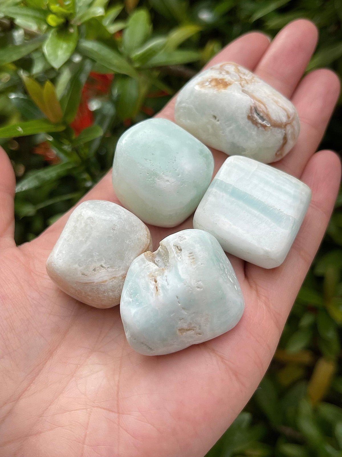 GAF TREASURES 5 Pcs Caribbean Calcite Tumbled Stones, Polished Natural Caribbean Calcite Gemstone, Caribbean Calcite Healing Crystals (Caribbean Calcite)