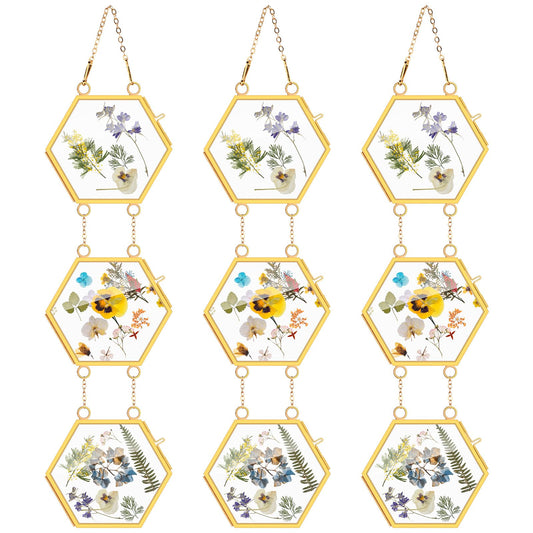Marsui 3 Set Double Glass Frame Collage For Pressed Flowers with 9 Pcs 4 x 3 Inch Openings Gold Hanging Glass Floating Photo Frames for Artwork Display Photo Modern Home Wall Decor