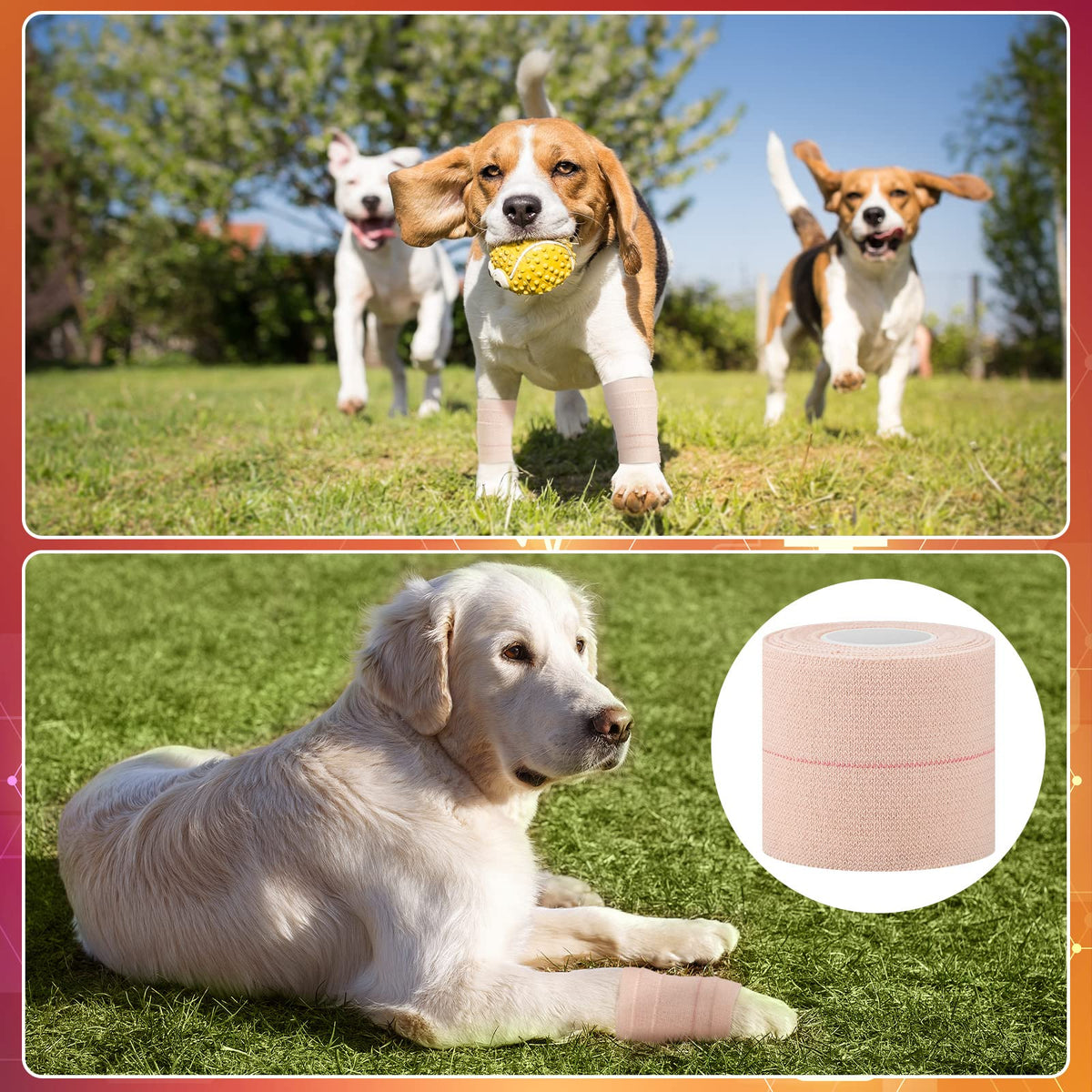 Nuanchu 16 Rolls Self Adhesive Elastic Bandage Wrap Breathable Flexible Stretch Sports Tape for Wrist Ankle Support, Cohesive Vet Wrap for Horse Pet(2 Inch x 5 Yard)