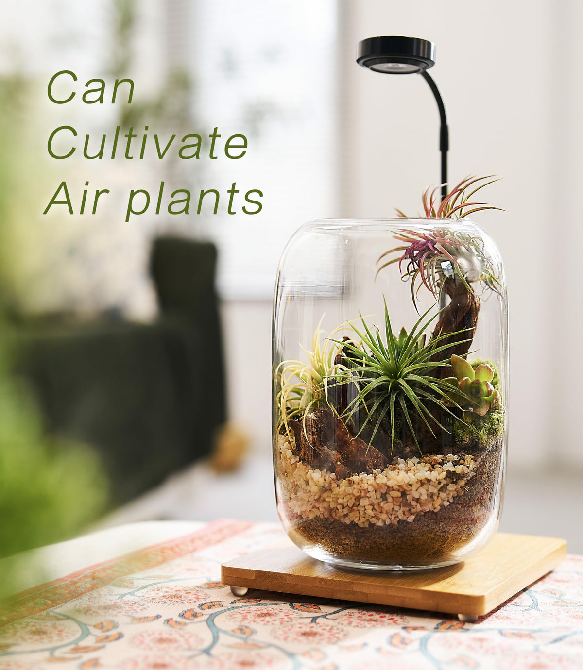 Terrarium Kit with Grow Light – 24-Piece DIY Glass Terrarium Set with Tools, Moss, Driftwood, Soil & Pebbles – Mini Gardening Kit for Air Plants, Succulents & Indoor Desk Decoration Gift