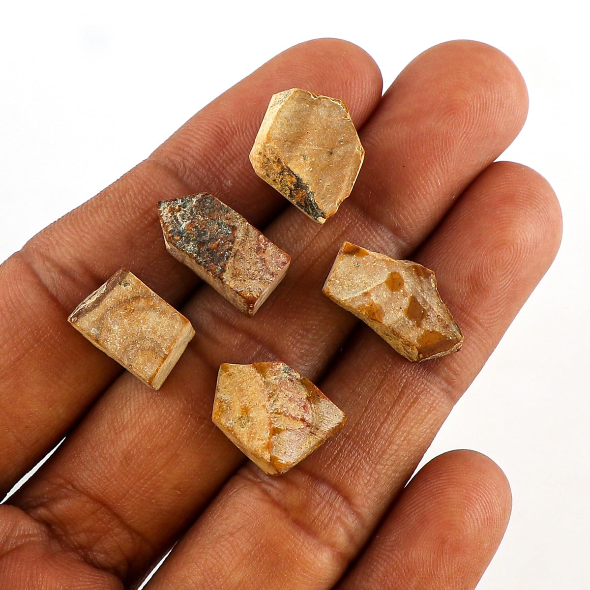CRYSTALINES 5pcs AAA Grade Wholesale Natural Raw Petrified Wood Jasper Gemstones, Untreated Rough Stone, Bulk Loose Supplies, DIY Jewelry Making, Healing Crystals, Birthstone, Gem Collection