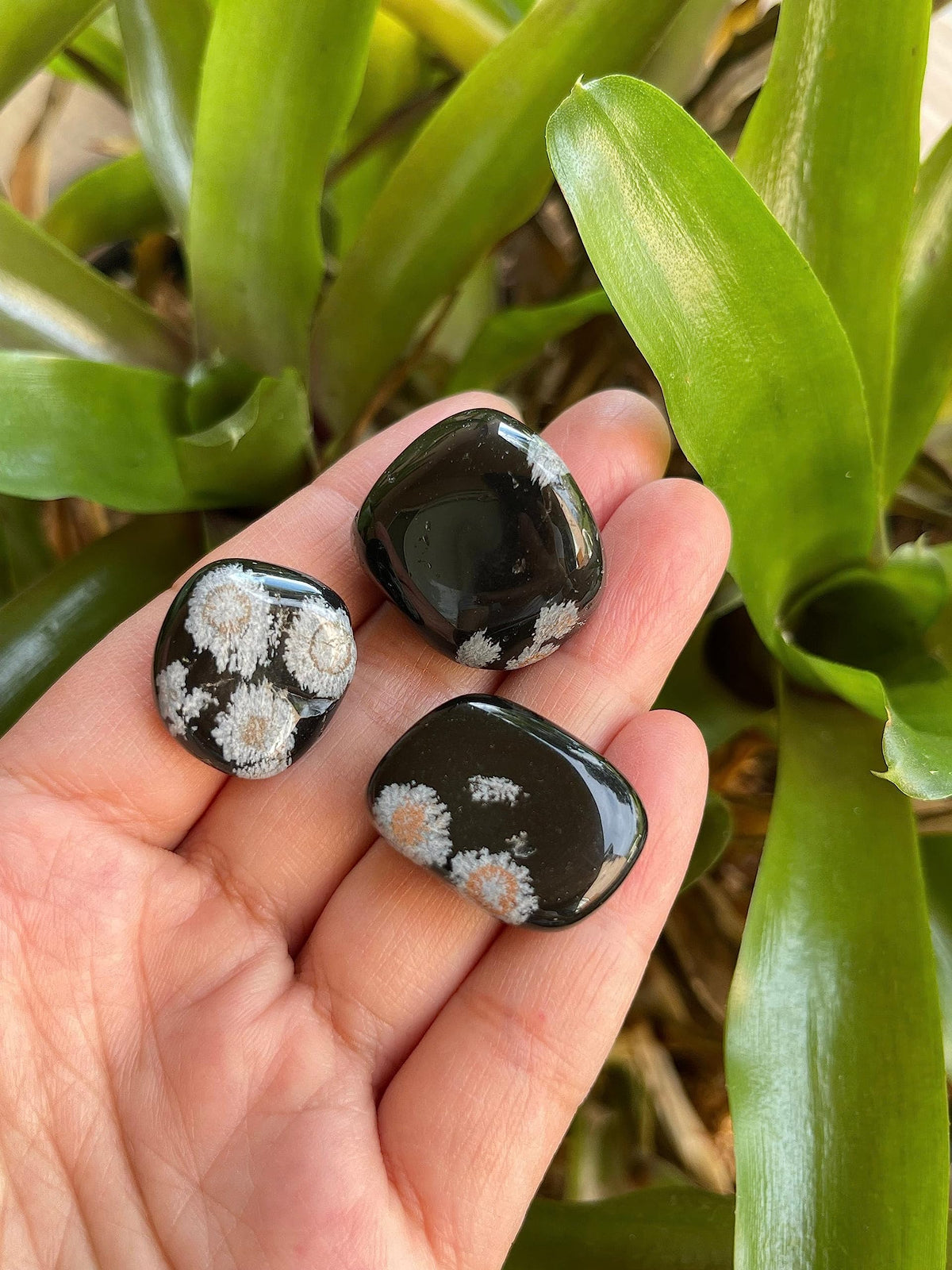 GAF TREASURES 5 Pcs Snowflake Obsidian Tumbled Stones, Polished Natural Snowflake Obsidian Gemstone, Snowflake Obsidian Healing Crystals (Snowflake Obsidian)