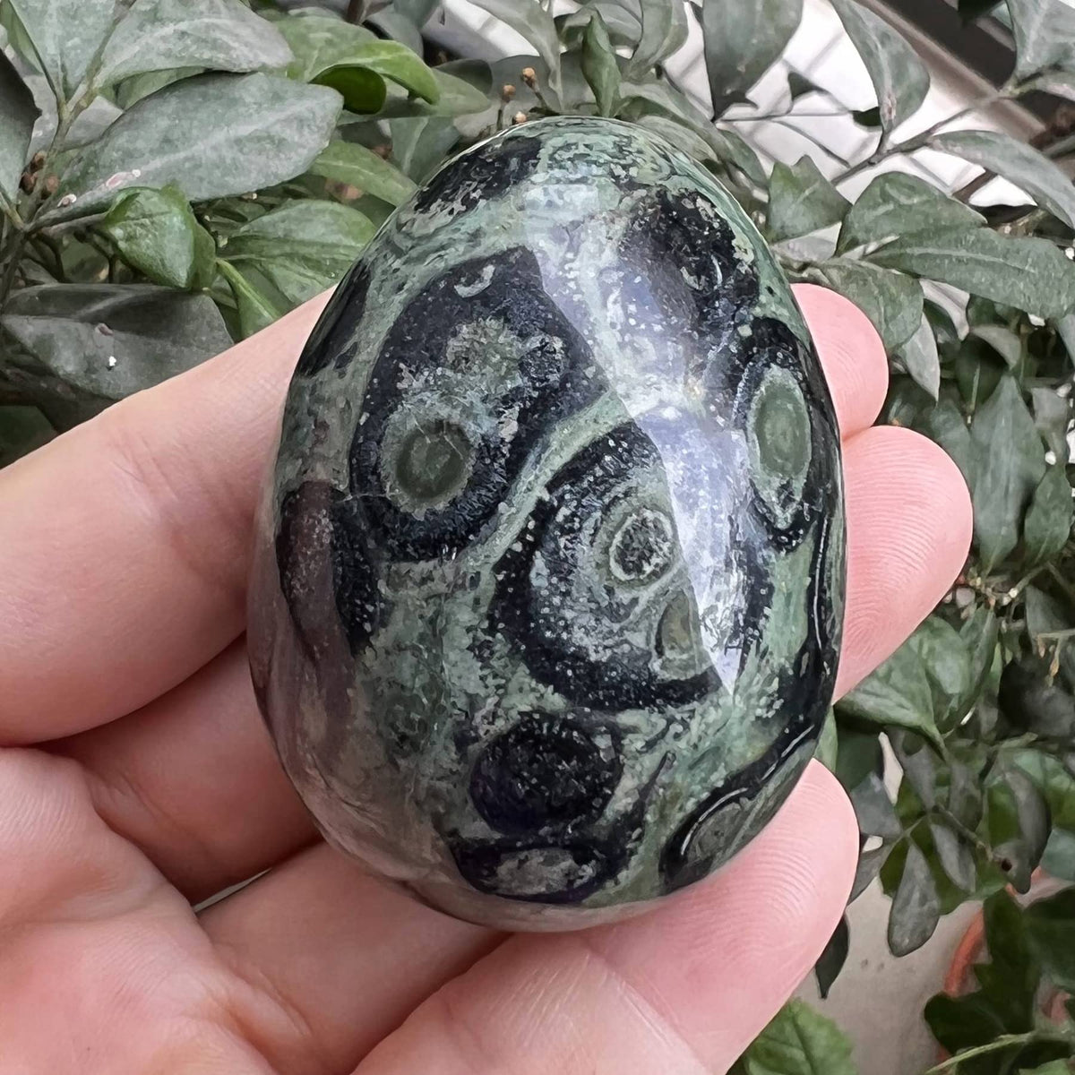 Fekuar Stone Egg Figurine, Polished Healing Crystal Easter Eggs Sphere Sculpture with Wood Stand, Natural Green Kambaba Jasper, 1.8"