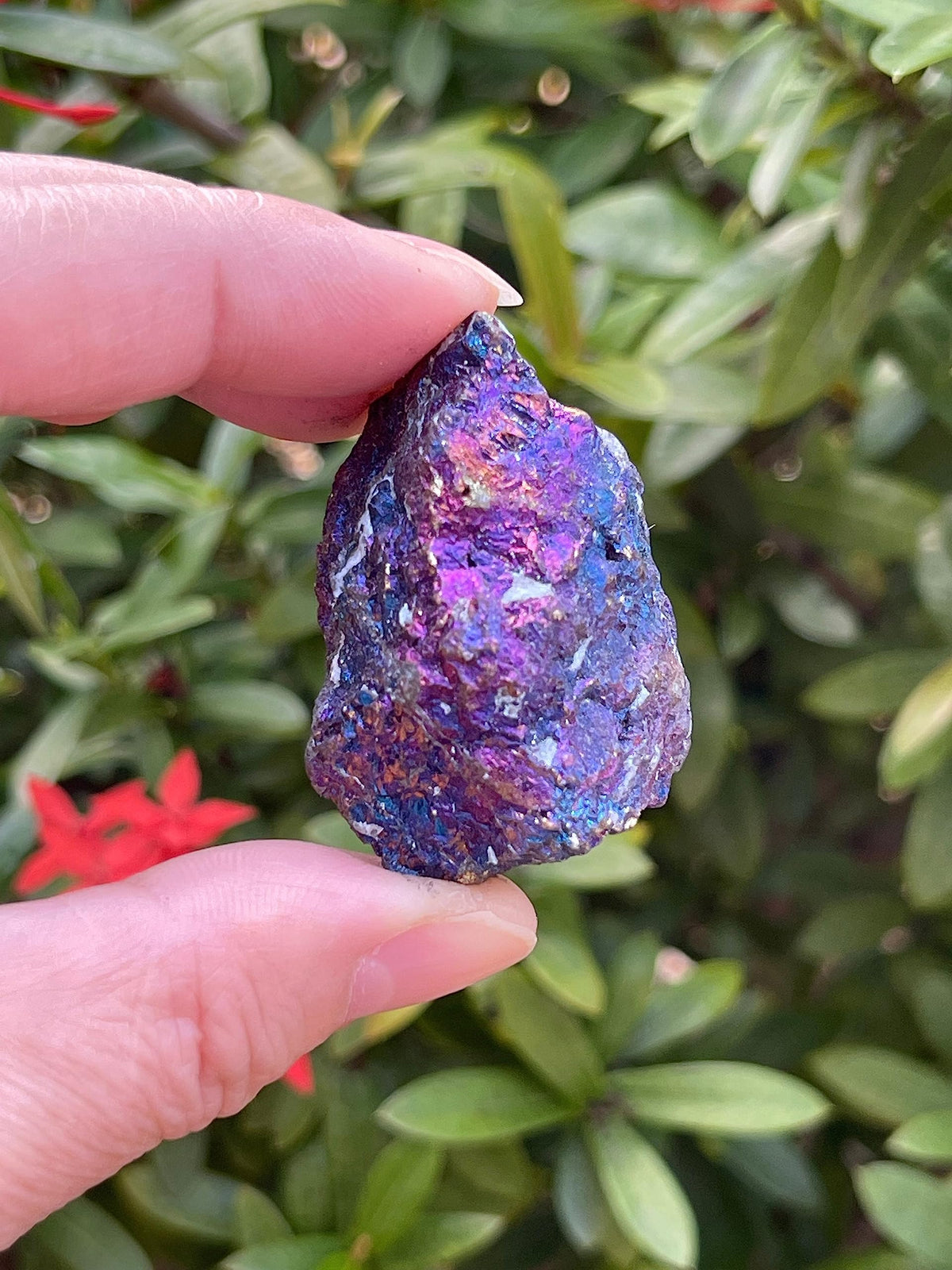 GAF TREASURES Wholesale Raw Chalcopyrite Crystals, Natural Chalcopyrite Stone, Natural Rough Chalcopyrite Crystals, Chalcopyrite Rough, Chalcopyrite Healing Crystals (Chalcopyrite, 0.5 Pound)