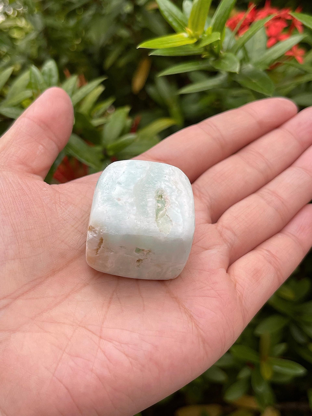 GAF TREASURES 5 Pcs Caribbean Calcite Tumbled Stones, Polished Natural Caribbean Calcite Gemstone, Caribbean Calcite Healing Crystals (Caribbean Calcite)