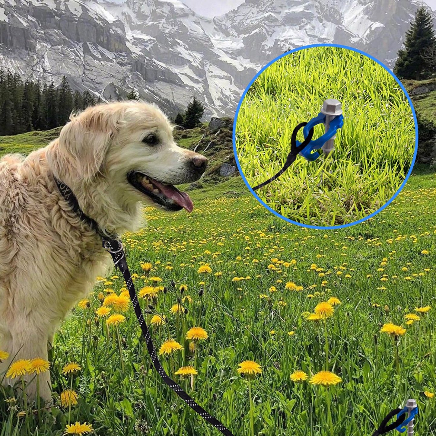 ‎Homeon Wheels 12 Pcs Camping Ground Anchors Aluminum Screw Heavy Duty Metal Non-Rust Cast Tent Anchors in Kit for Securing Animals, Tents, Canopies, Sheds, Car Ports, Swing Sets Outdoors Beach