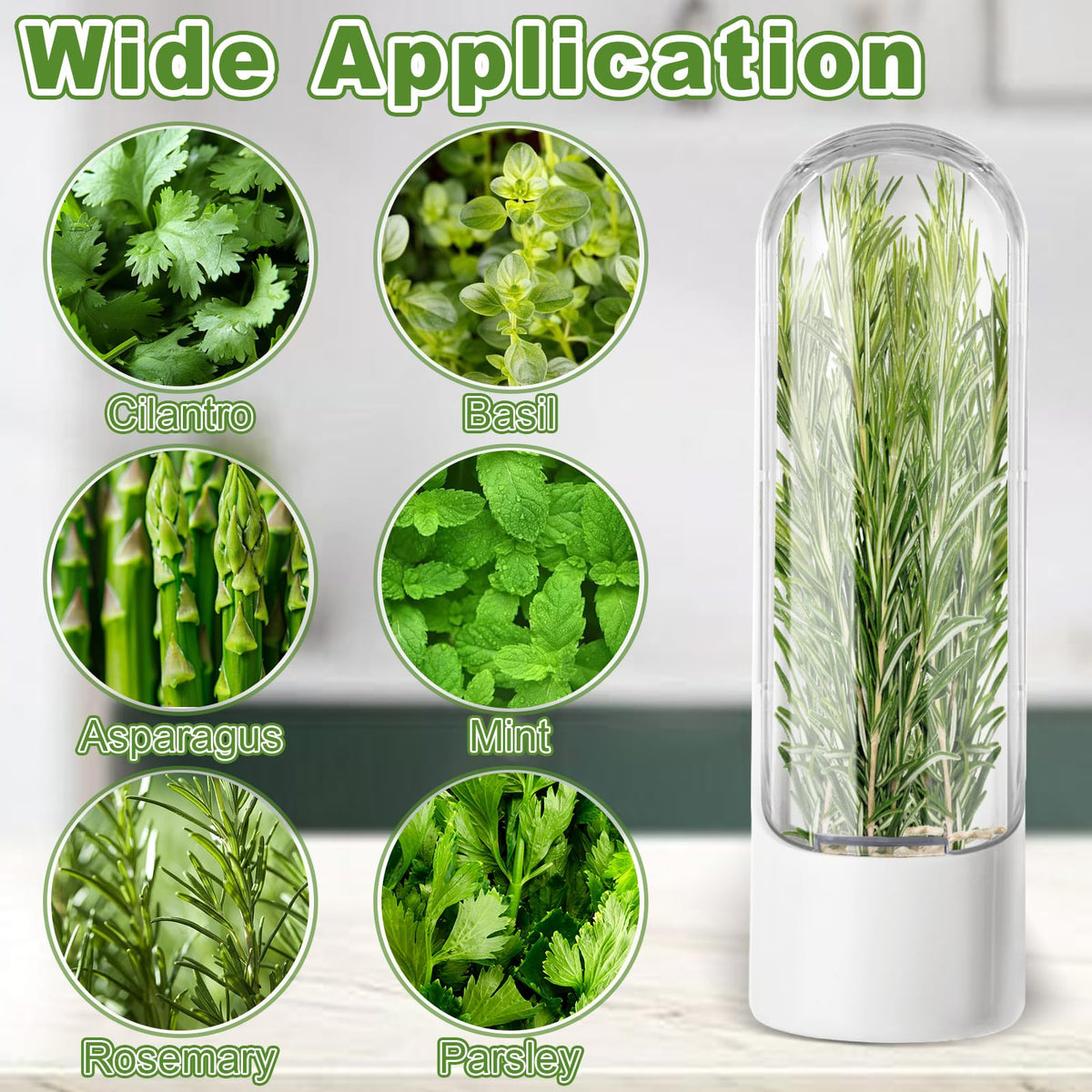 LDHHYH 4 PCS Fresh Herb Keeper for Refrigerator, Herb Saver for Refrigerator, Cilantro Containers for Fridge, Herb Storage Containers for Cilantro Asparagus Mint Rosemary Parsley Basil for 2-3 Weeks
