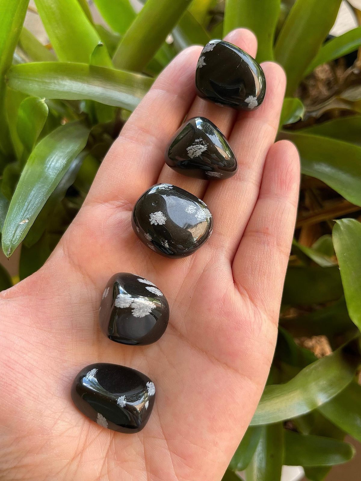 GAF TREASURES 5 Pcs Snowflake Obsidian Tumbled Stones, Polished Natural Snowflake Obsidian Gemstone, Snowflake Obsidian Healing Crystals (Snowflake Obsidian)