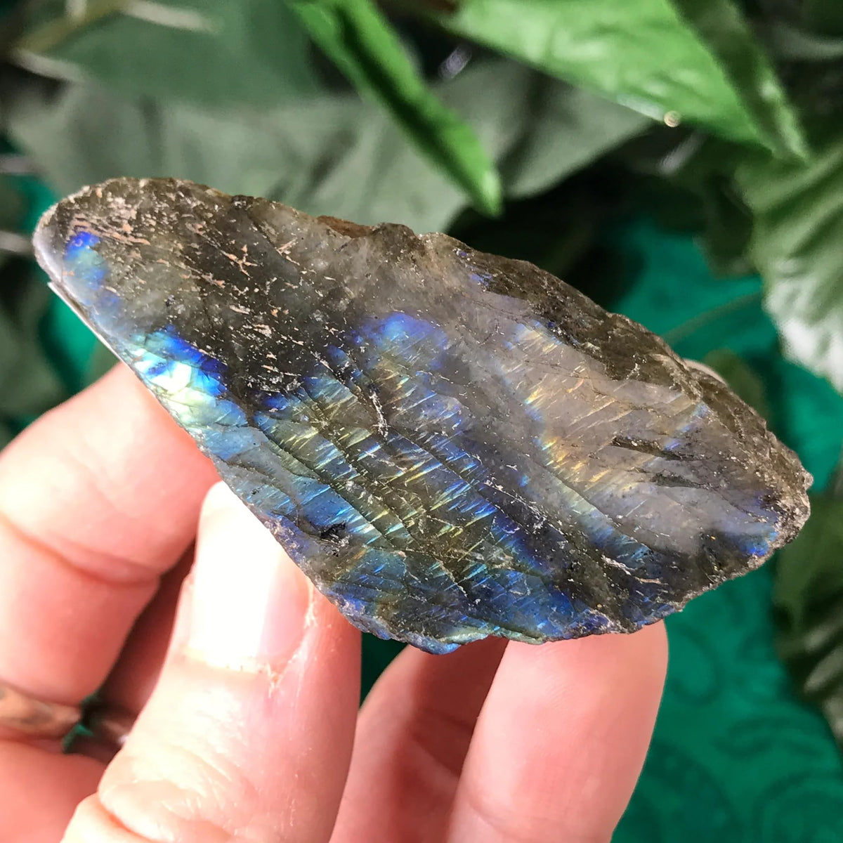Zenkeeper 1Lb Raw Labradorite Stones for Tumbling, Polishing, Rough Labradorite Crystals Bulk Rough Gemstone for Jewelry Making, Healing, Meditation, Reiki