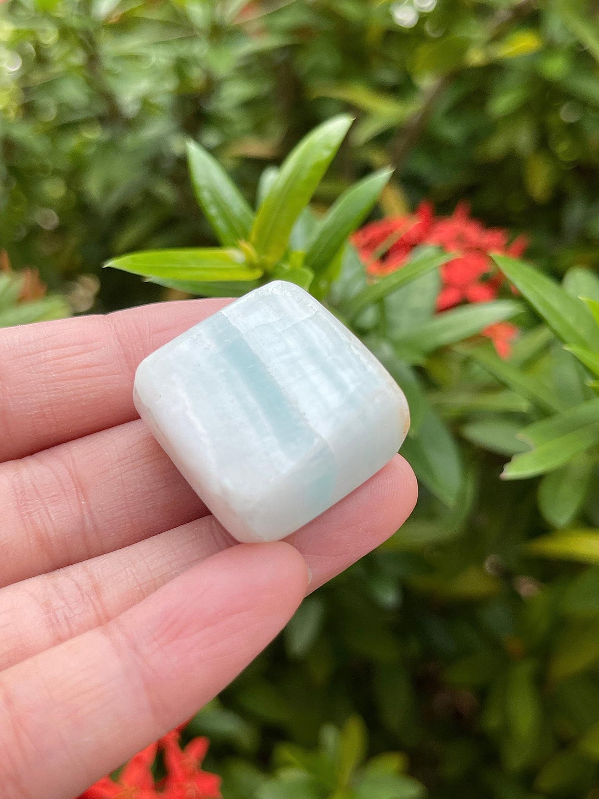 GAF TREASURES 5 Pcs Caribbean Calcite Tumbled Stones, Polished Natural Caribbean Calcite Gemstone, Caribbean Calcite Healing Crystals (Caribbean Calcite)