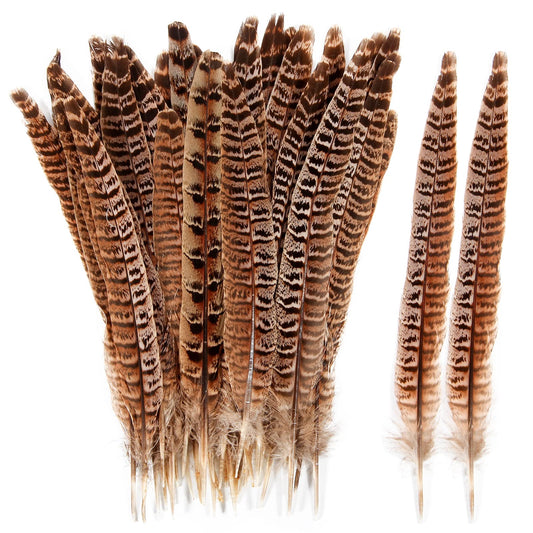 THARAHT 24pcs Female Ringneck Pheasant Tails Feathers Natural Feathers 10-12inch 25-30cm for Crafts Home Wedding Party Performance DIY Decoration Female Pheasant Feathers